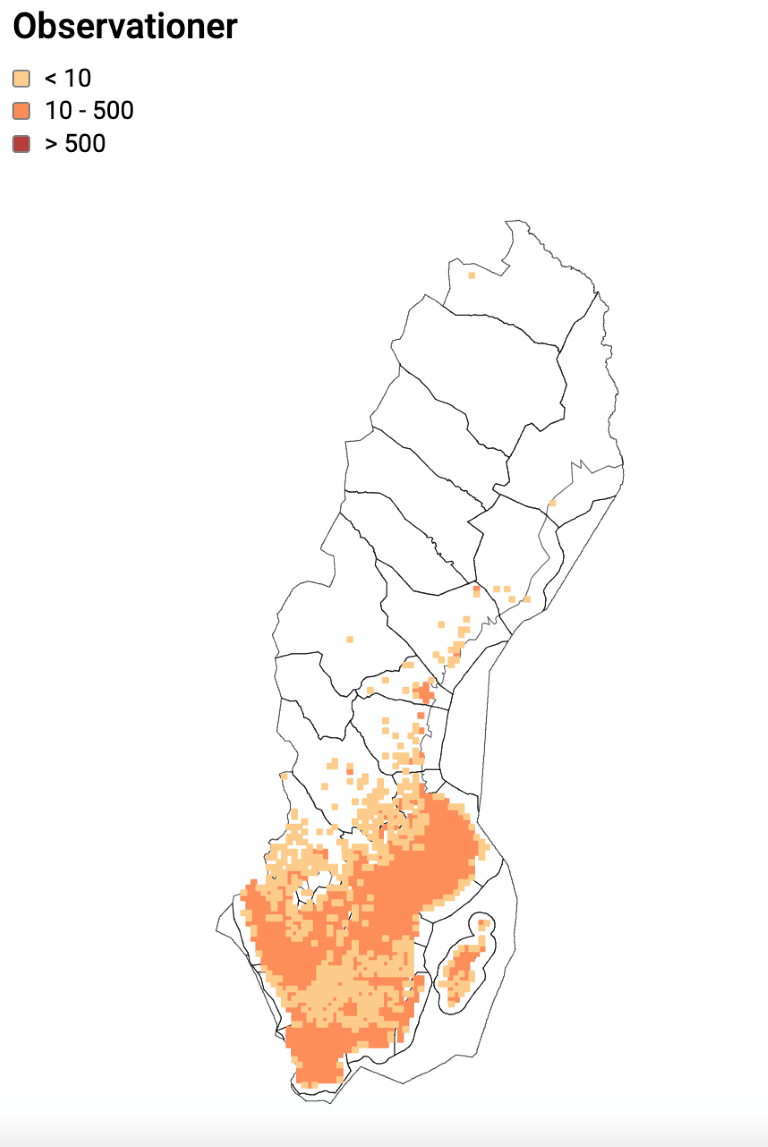 Skärmavbild 2024-02-26 kl. 08.57.24.png